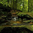Meditación Interna, Lluvia Relajante, Academia de Relaxamento e Meditação