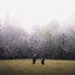 Meditación Guiada, Masaje Relajante Masters, Sonido Del Bosque y Naturaleza