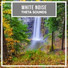Binaural Beats Experience, Binaural Beat Therapy, Binaural Beats Meditation