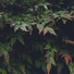 Música Para Dormir Inspirada En El Espacio, Meditación Guiada, Sonidos de la Naturaleza Relajacion