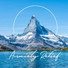 Stress Relief Calm Oasis, Best Relaxation Music, Relaxing Music Therapy