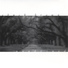 Amethystium. 2007 - VA. Ember Days Classic. Autumn Rain (Сборник 3. Классика дней тлеющих углей. Осенний дождь)