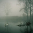 Sleep Sound Library, Buddhist Meditation Music Set, The White Noise Zen & Meditation Sound Lab