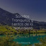 Música para Dormir Con Relajantes Sonidos de la Naturaleza, Lluvia, Meditación Interna