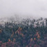 Sonidos de la Naturaleza Relax, Relajantes sonidos de lluvia, Música para Relaxar Maestro