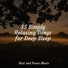 Sleep Meditation Dream Catcher, Meditation & Stress Relief Therapy, Academia de Música para Massagem Relaxamento