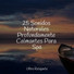 Musica Para Dormir y Sonidos de la Naturaleza, Meditación Guiada, Piano para Dormir