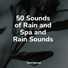 Rainforest Sounds, White Noise Nature Sounds Baby Sleep, Monarch Baby Lullaby Institute