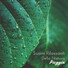 Sounds of Nature White Noise for Mindfulness, Meditation and Relaxation, Natureza Musica Bem-Estar Academia, Sounds of Nature Kingdom