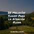 Sonidos de la Naturaleza Relajacion, Musica Para Dormir y Sonidos de la Naturaleza, Massagem Música