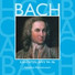Concentus Musicus Wien, Nikolaus Harnoncourt