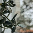 Entrenamiento Autógeno y Meditación Specialistas, Sonidos de la Naturaleza Relax, Sueño Lucido