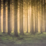 Massage Therapy Music, Deep Relaxation Meditation Academy, Pan Pipes Chillout Band