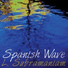 L. Subramaniam feat. Larry Coryell, Alla Rakha