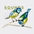 Rest & Relax Nature Sounds Artists, Nature Sounds for Sleep and Relaxation