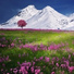 Music for Reading, Mindfullness Meditation World, Relaxation Meditation Songs Divine
