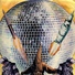 N.A.S.A. feat. Barbie Hatch, John Frusciante, RZA