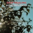 Binaural Reality, Binaural Beats Study Music, Binaural Recorders