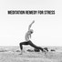 Meditation Music Masters, Stress Relief Calm Oasis, Soothing Music Academy