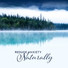 Natural Healing Music Zone, Relieving Stress Music Collection, Sound Therapy Revolution