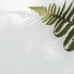 Deep Relaxation Meditation Academy, Deep Sleep Music Academy, Música Relaxante