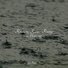 Relaxing Sounds of Nature, Sounds of Nature for Deep Sleep and Relaxation, Forest Soundscapes