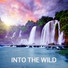 Nature Sounds Radio