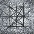 Nemertines feat. Arthur Zhostky, Nikita Solovyov