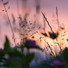 Piano para Dormir, Dormir Mucho, Musica Para Dormir y Sonidos de la Naturaleza