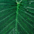 Música para Dormir Con Relajantes Sonidos de la Naturaleza, Massagem Música, Sonidos de la Naturaleza