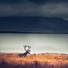 Música De Relajación Para Dormir Profundamente, Música Para Dormir Inspirada En El Espacio, Musica para Dormir 101