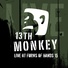 13th Monkey