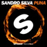 Sandro Silva