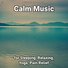 Meditation Music, Relaxing Spa Music, Yoga