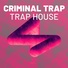 Criminal Trap