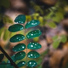 Música De Relajación Para Dormir Profundamente, Relajante, Cascada de Lluvia