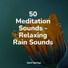 Mindfulness Meditation World, Rain Forest FX, Sounds Of Nature : Thunderstorm