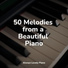 Piano Relaxation Maestro, Restaurant Background Music, Classical Piano Music Masters