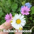 Sahara Record