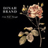 Dinah Brand