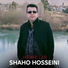 Shaho Hosseini