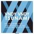 Vndy Vndy - Tsunami (Jagin Remix)
