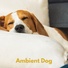 Calming Music For Pets