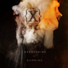 IAMX [2016 - Everything Is Burning - EP]