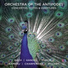 Orchestra of the Antipodes, Antony Walker