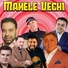 Florin Salam, Nicolae Guta, Adrian Minune, Vali Vijelie, Costel Biju, Copilul de Aur, Sorinel Pustiu, Adi De La Valcea, STEFAN DE LA BARBULESTI