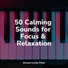 Relaxing Piano Music Masters, Easy Listening Music, Concentration Study