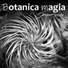 Botanica magia