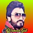 Waheed Gul