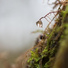 Sonidos de la Naturaleza para Dormir, Canciones de Cuna para Bebés Académico, Sonidos De Lluvia y Tormentas